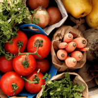 Meal Program - Videos